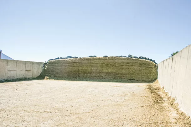 Silage