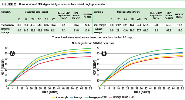 Comparison of NDf digestibility curves on two mixed haylage samples