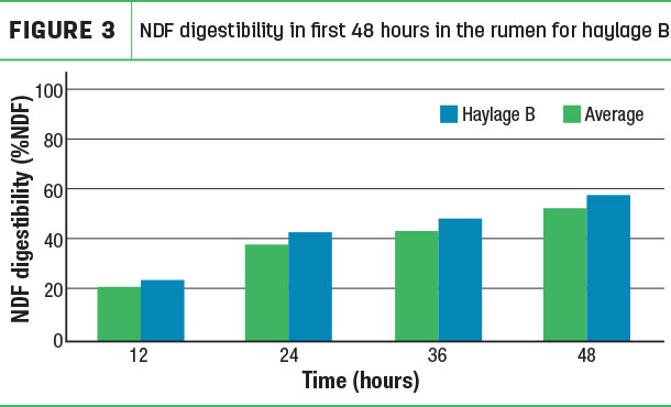 NDF digestibility in first 48 hours in the rumen for haylage B