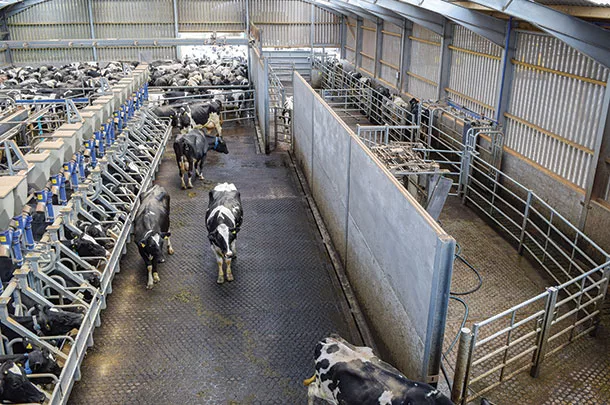 1121CA Footbath