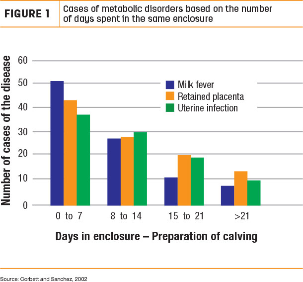 Cases of metabolic disorders based on the number of days spent in the same enclosure