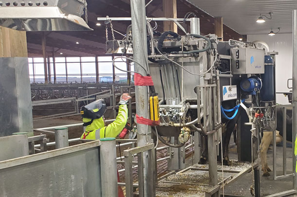 Hoof trimming chute