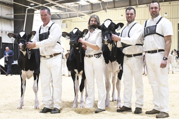 Robella Holsteins at this year's Western Dairy Showcase