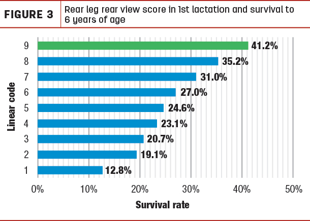 rear lef rear view score