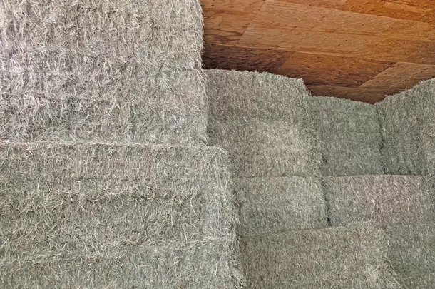 Hay