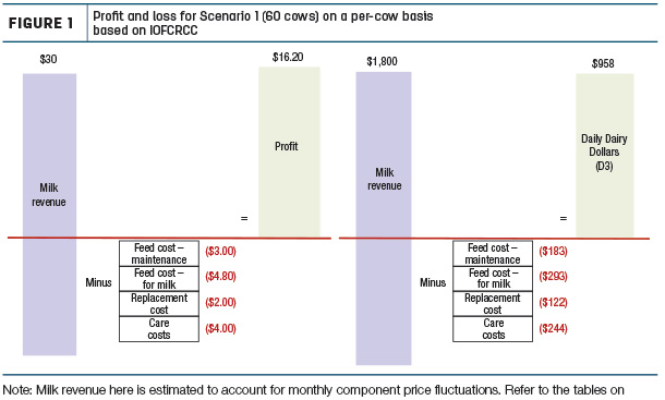 Profit and loss for Scenario