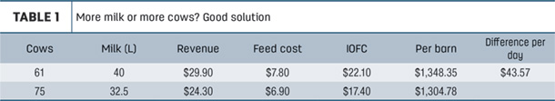 More milk or more cows? Good solution