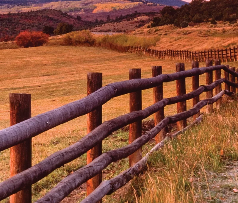 across-the-fence.png