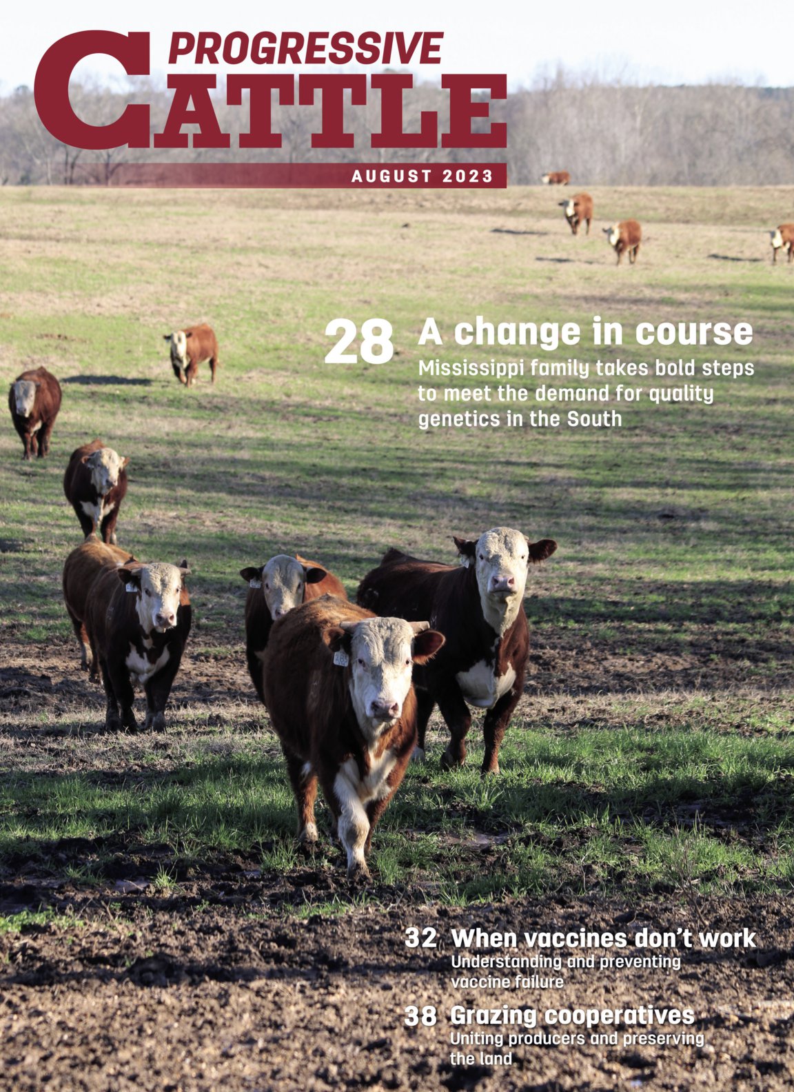 Progressive Cattle cover