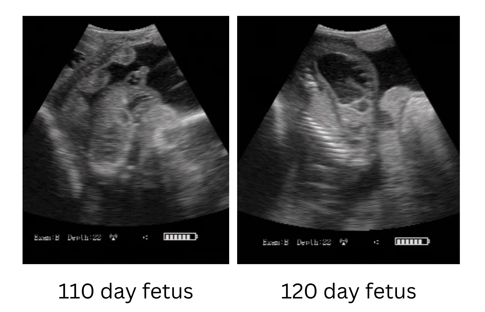 110-day-vs-120-day-graphic.jpg