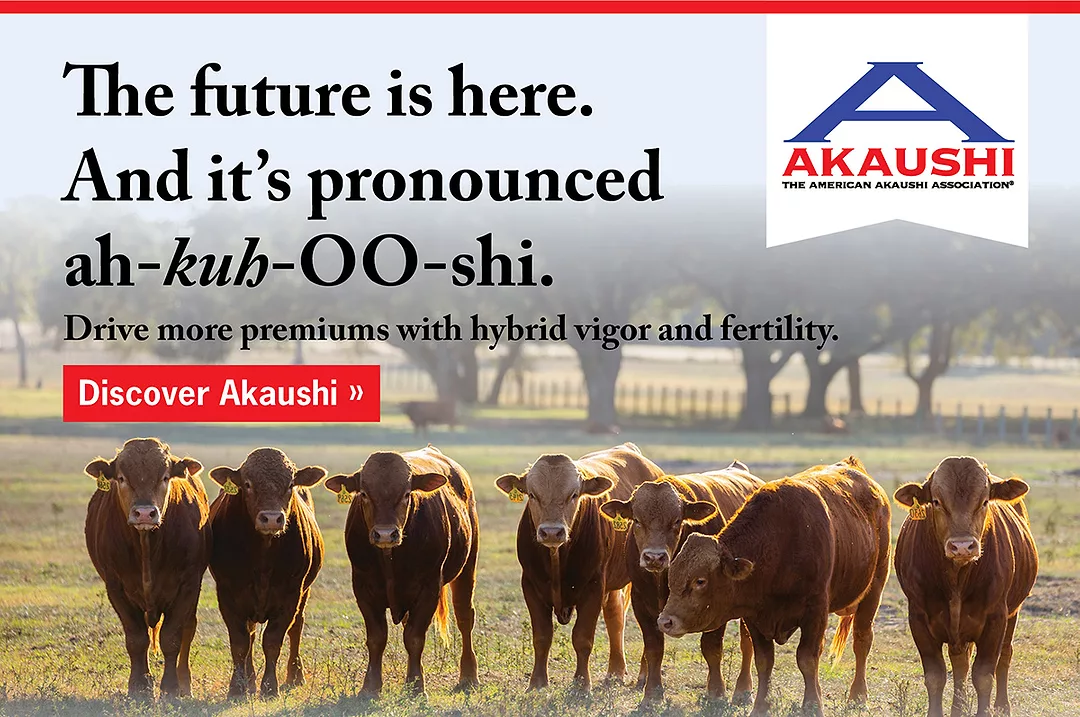AAA-featured-image.jpg