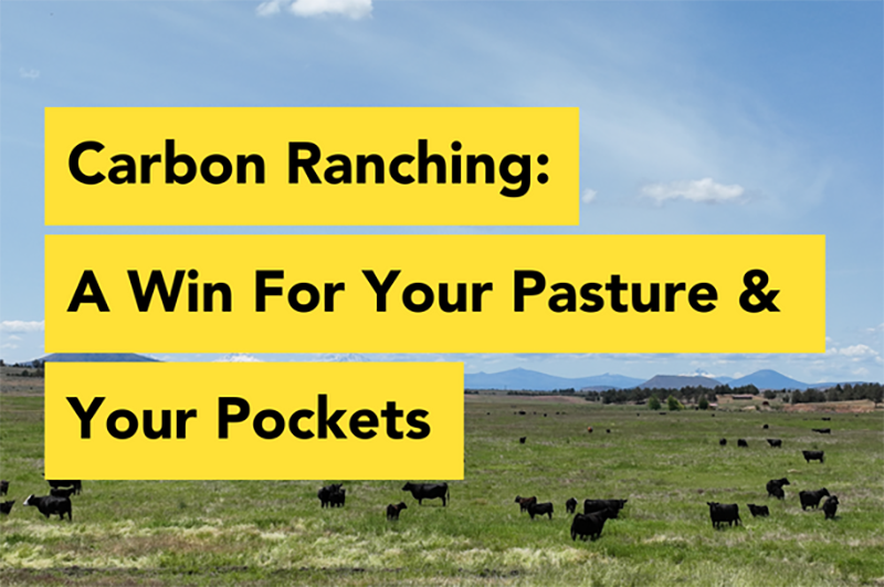 xamples of 3 carbon capture practices for rangeland; improved grazing, seeding, fertilization