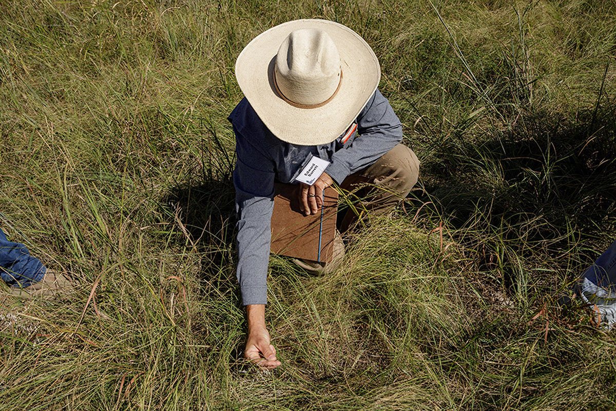 Noble Essentials of Regenerative Grazing course