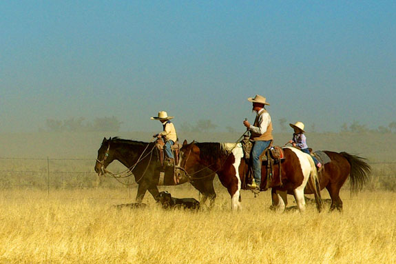 Kim Brackettes family riding on horses