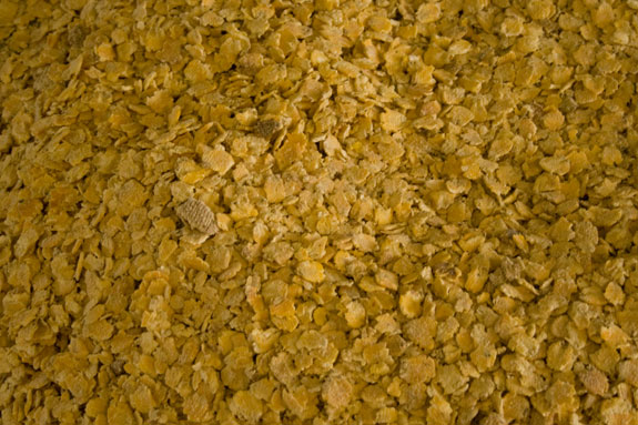 Rolled corn