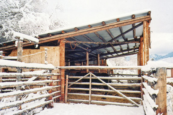 This calving barn provides a windbreak and shelter from the snow.