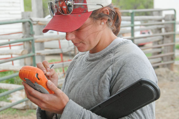 Woman using Archer handhelds for electronic tags