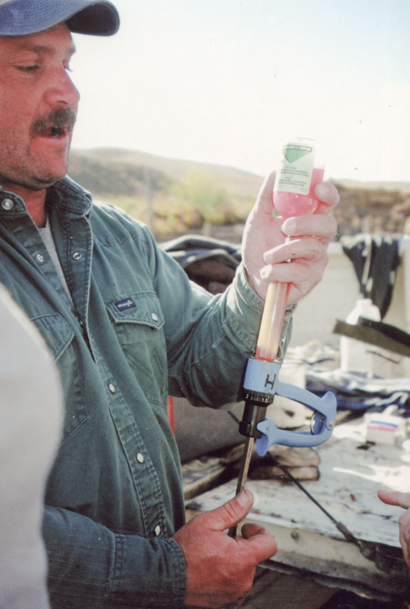 Preparing the vaccine gun