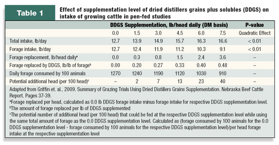 effect of supplementation levels of DDGS on intake of growing cattle