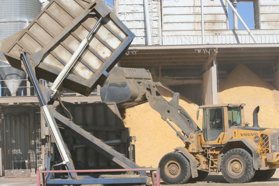 Feed delivery