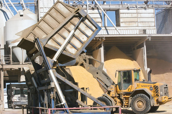 Feed equipment