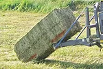 0811pc harvest 1