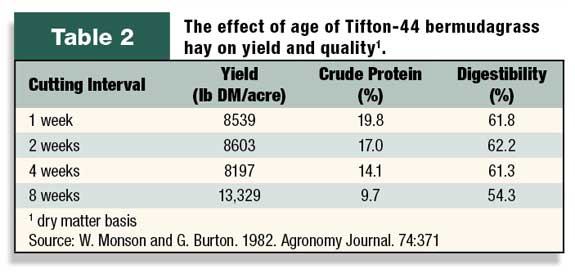 Effect of age of Tifton-44 bermudagrass hay on yield & quality