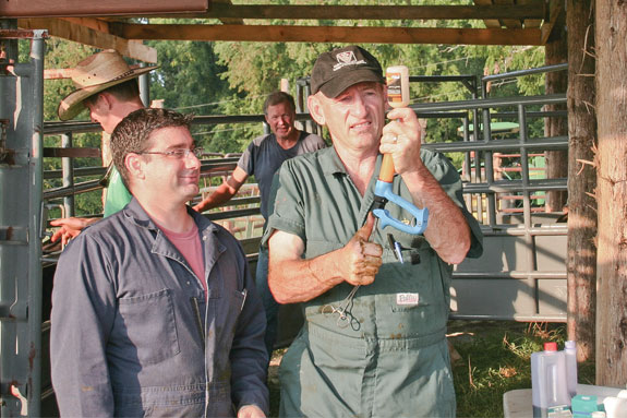 A vet demonstrates a vaccine gun