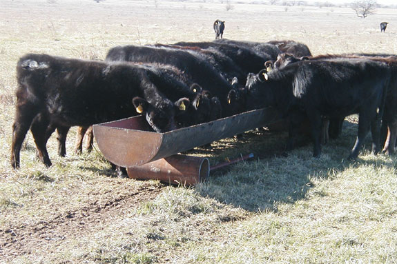 Metal feed trough