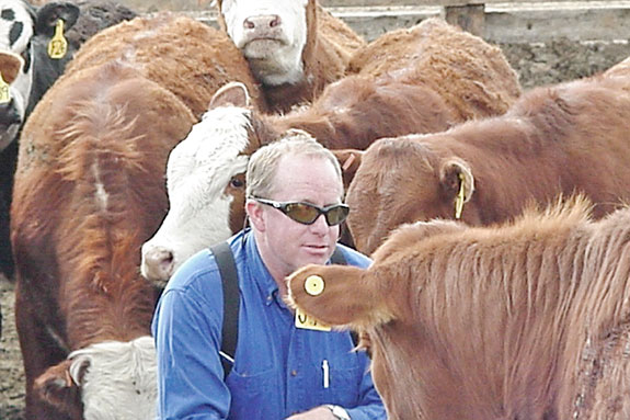 John Francis and female heifers