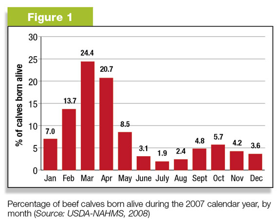 Beff calves born alive in 2007
