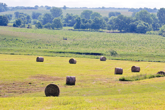 Hay bales