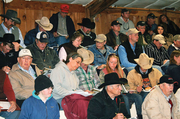 Bull buyers at the Columbus, Montana bull sale. 