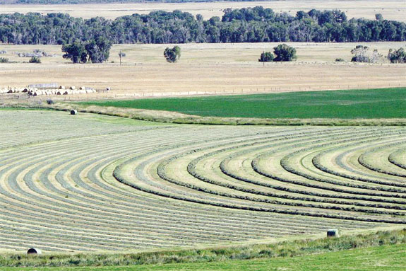 Ranchland
