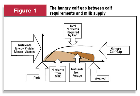 Figure 1: The hunger gap between calf requirements and milk supply.