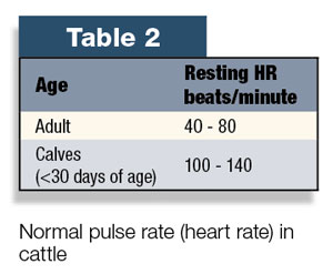 Table 2: Normal heart rate in cattle