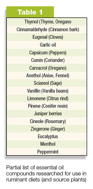 Table 1: Partial list of essential oils researched for use in ruminant diets