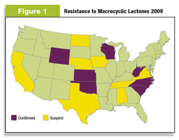 Figure 1: resistance in macrocyclic lactones