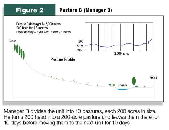 Pasture B (Manager B) profile