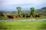 041912 wyoming