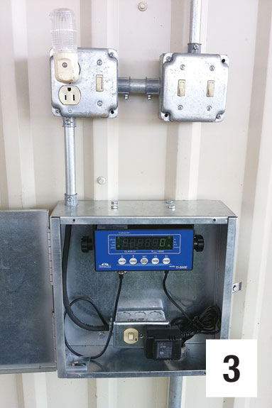 A scale indicator with digital readout mounted in waterproof box on side of barn a few feet away from squeeze chute.