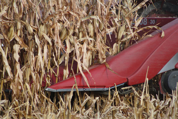 Corn harvester