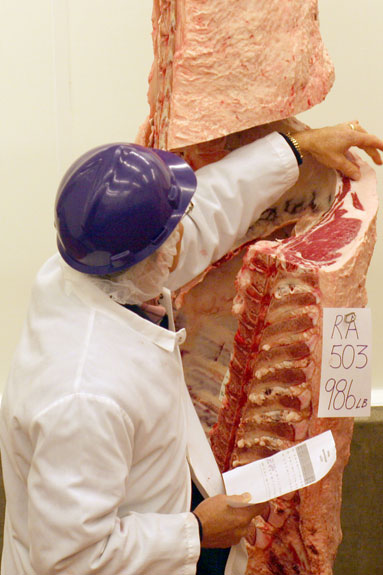Michael Dikeman with carcass