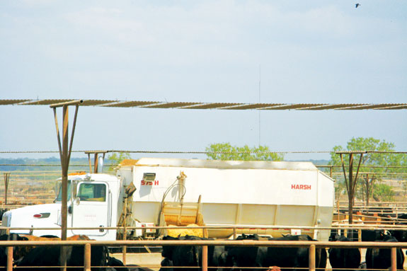 Truck filled with corn/feed