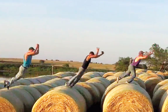 Shot from " I'm Farming and I Grow it"