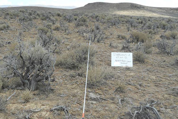 Photo plot