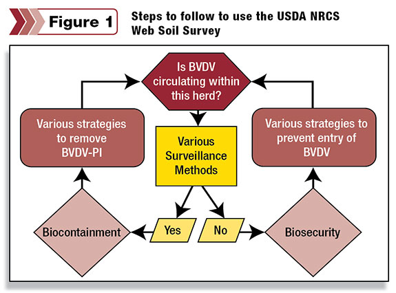 Figure 1: Steps to follow to use the USDA NRCS Web Soil Survey