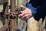 032013 locked cattle gate