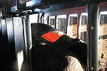 041213 accubreed heat detection