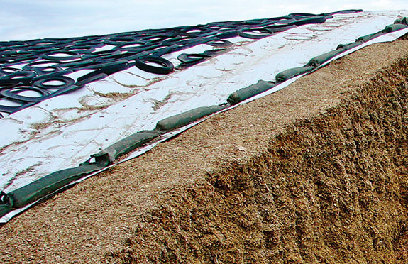 Properly sealed silage in a bunker pile
